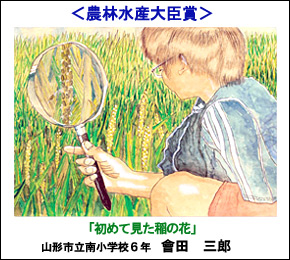 農林水産大臣賞