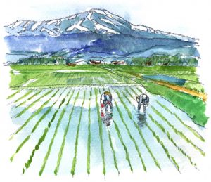 農作業風景イメージ