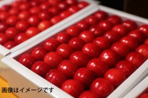 プレゼント当選者発表（6月5日締切分）