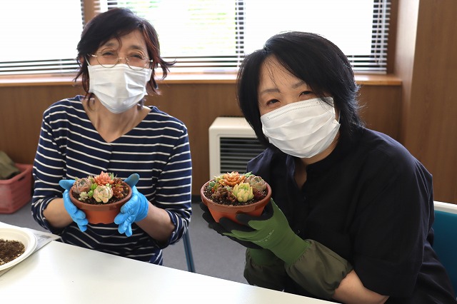 多肉植物の寄せ植え完成！