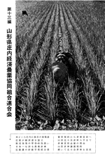 第十三編の表紙